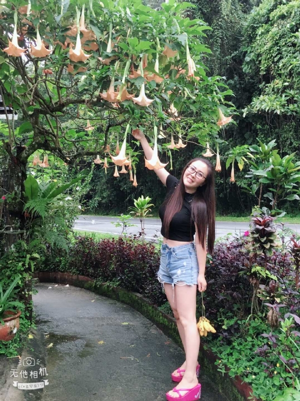 离异单身无子的第二张照片--杭州相亲服务中心