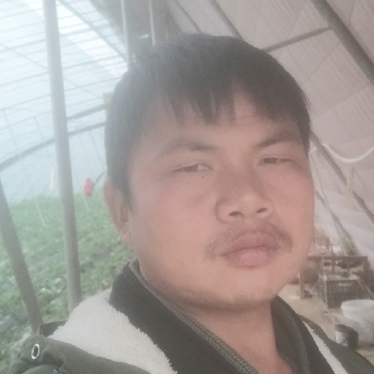 孤狼‘的第一张照片--杭州相亲服务中心