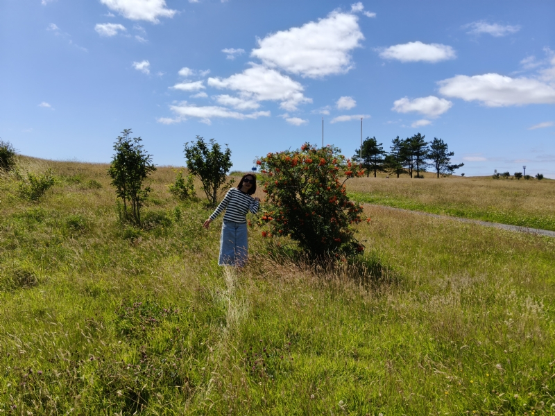 秋蝉的第一张照片--杭州相亲服务中心