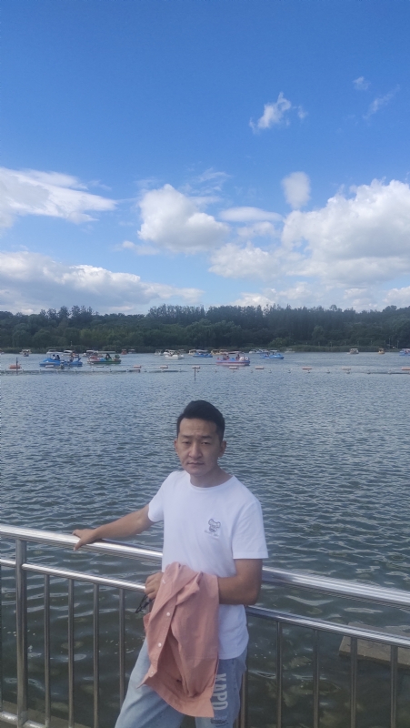 脱了壳的龟的第一张照片--杭州相亲服务中心