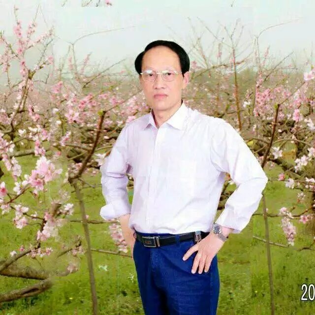 枫叶的第一张照片--杭州相亲服务中心